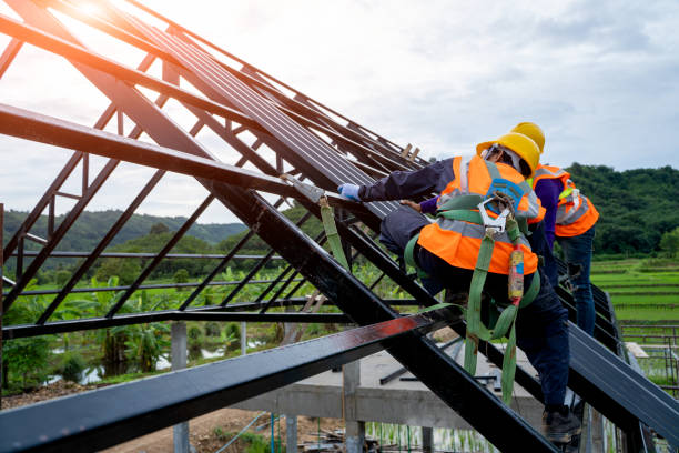 Best Local Roofing Companies  in Dixon, KY