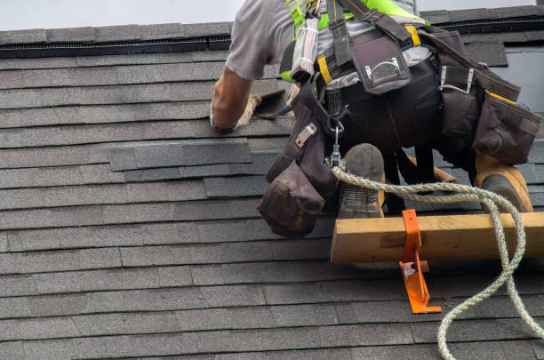 Best Roof Gutter Cleaning  in Dixon, KY